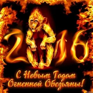Год огненной обезьяны