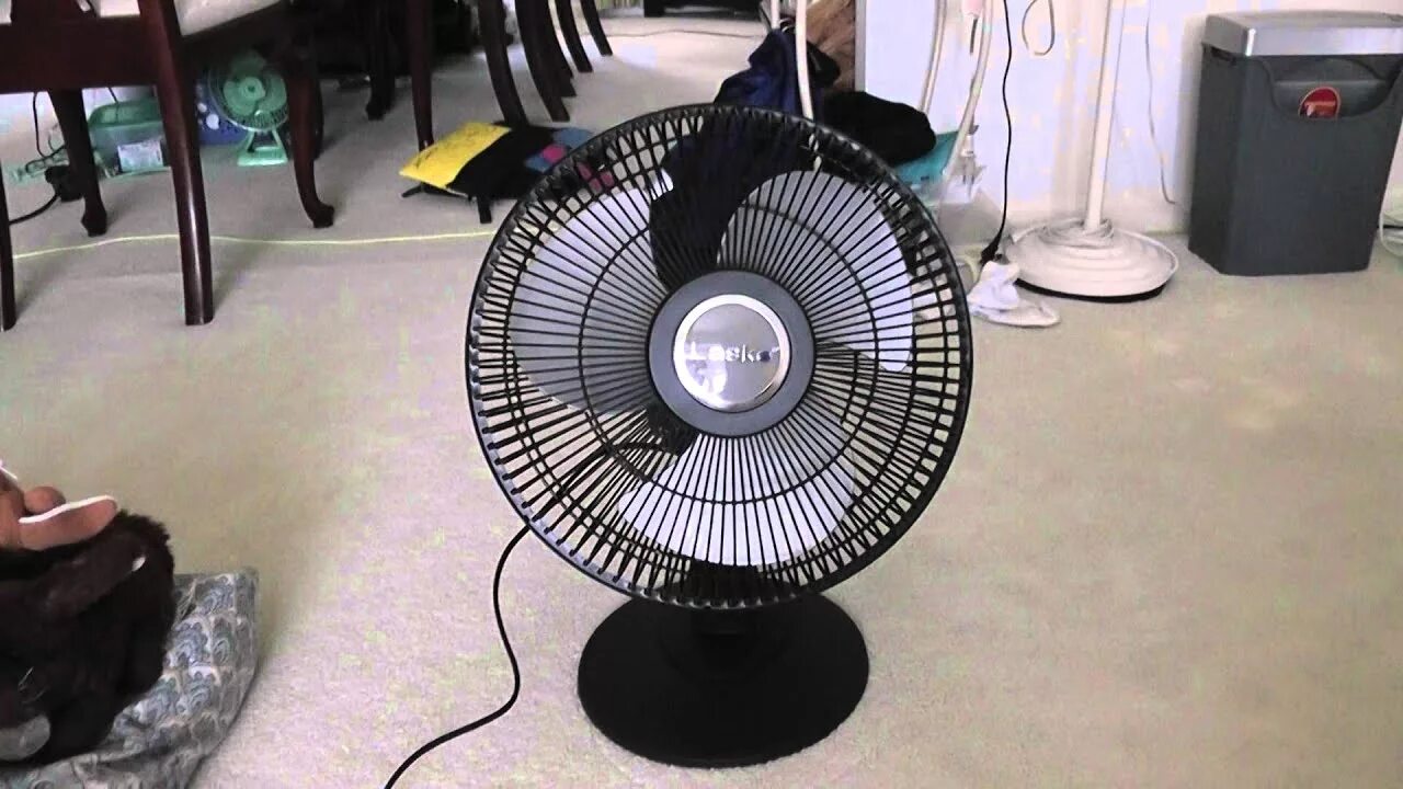 Вентилятор 12 inch Table Fan. Вентилятор Bimatek Table Fan f-3535 FNN. Вентилятор Fan модел ma283. 6118118 Вентилятор. Fan youtube