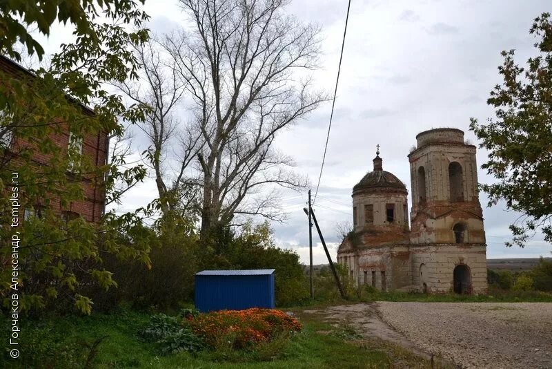 Альшанские выселки. Село Альшань Благовещенская Церковь. Орловская область село Альшань Церковь. Село Альшань Орловского района. Альшанские Выселки Орловская область.