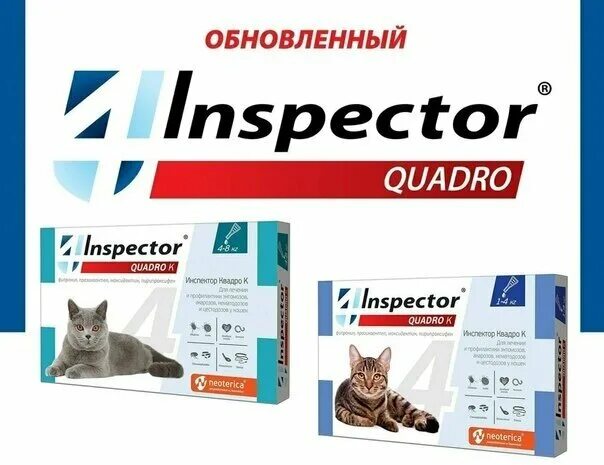 Квадро с капли. Капли inspeсtor квадро к для кошек 8-15 кг. инспектор квадро к для кошек 4-8 кг. инспектор квадро к капли для кошек 8-15кг 1,5мл. инспектор квадро капли от паразитов для кошек 4-8кг.