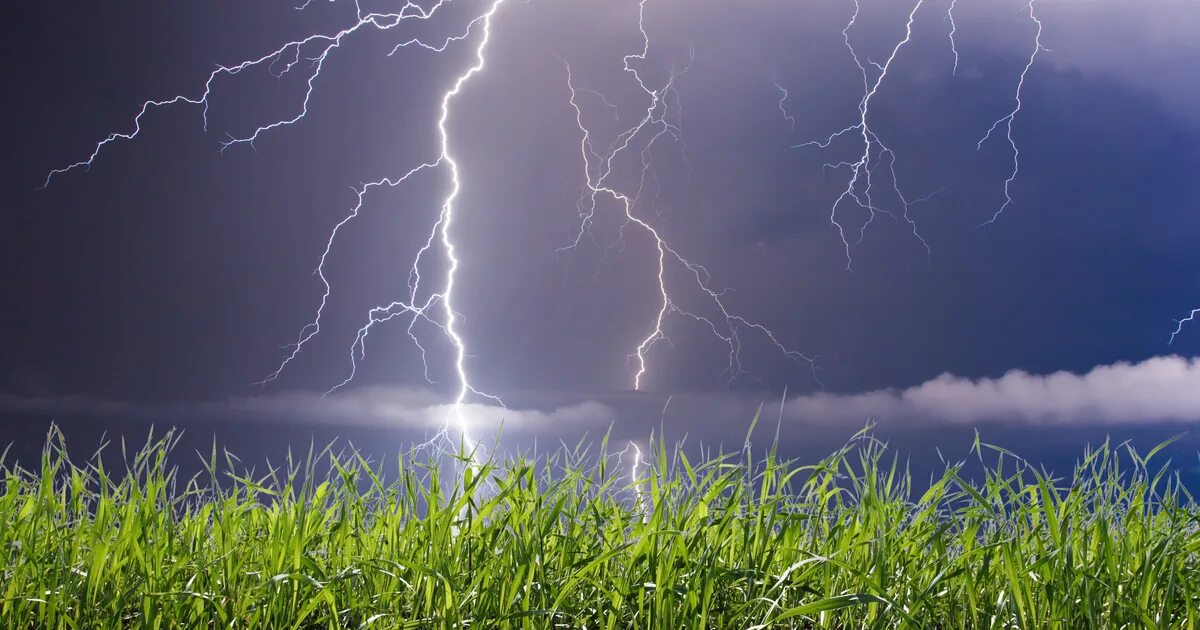 утренняя гроза