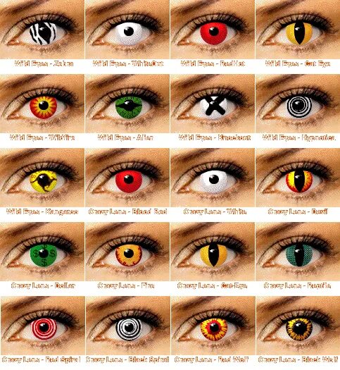 Сколько у них глаз. Цвет глаз. Какие глаза будут у ребенка если у родителей карие и зеленые. Склеры драконий глаз. Сколько у них глаз.