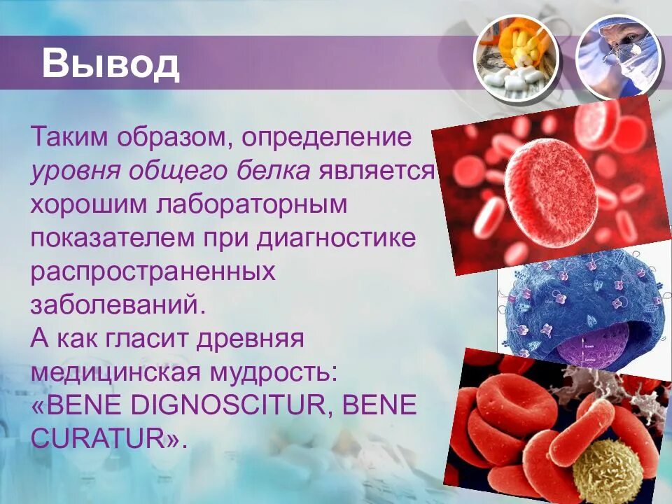 Белки плазмы фракции. Общий белок плазмы крови. Фракции общего белка крови. Общий белок и фракции анализ. Общий белок и фракции значение.