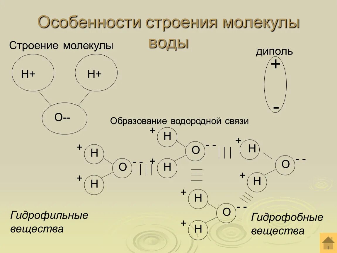 Вода особенности строение свойства. Строение молекулы воды диполь водородные связи. Особенности строения воды. Особенности строения молекуоыводы. Особенности строения молекул.