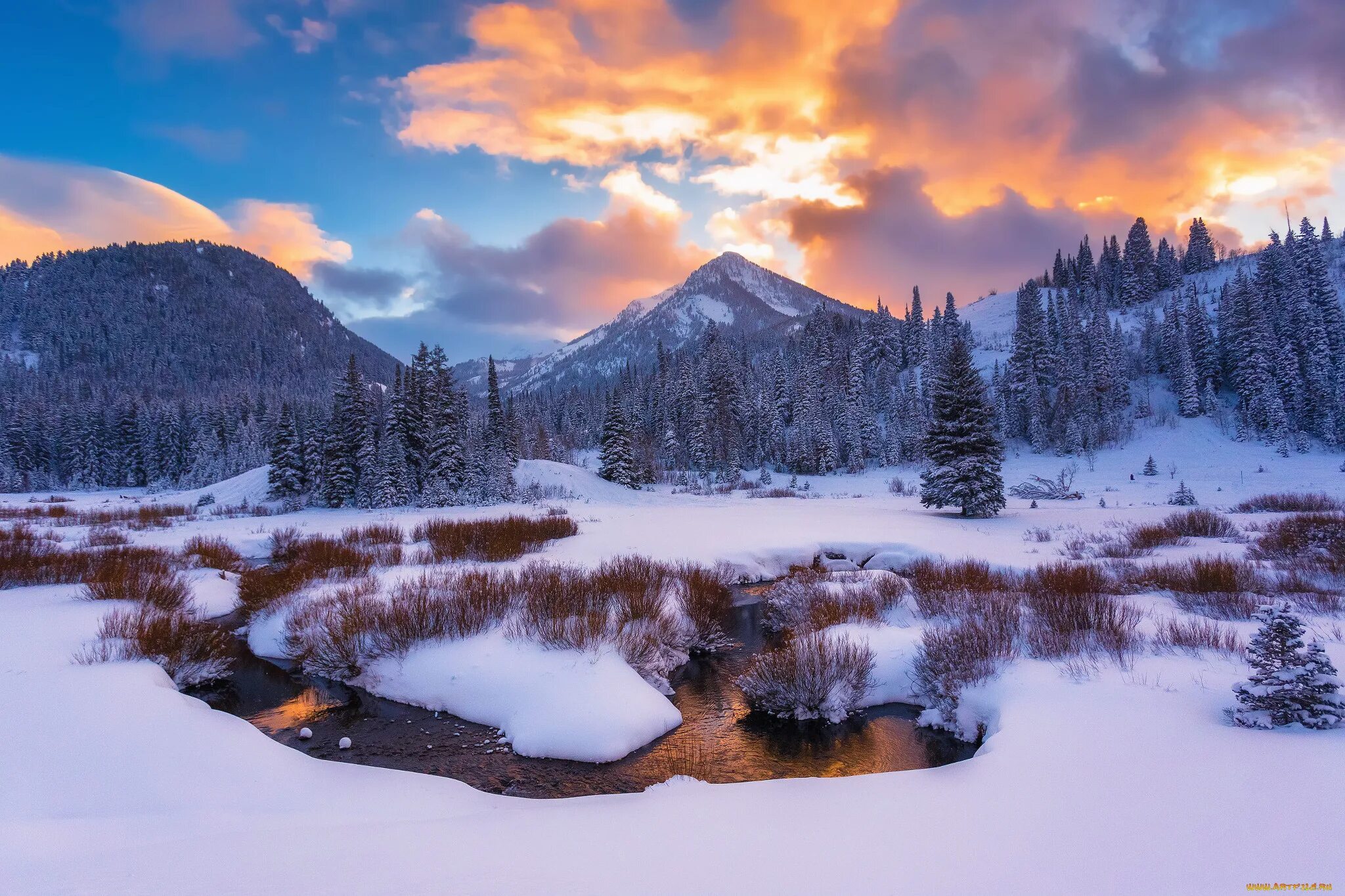 Is winter beautiful. Зимняя природа. Холодный пейзаж. Снежный пейзаж. Красивый вид зимой.