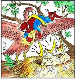 Карикатура птицы