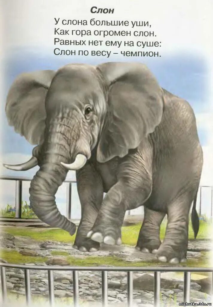 Самостоятельно сочинить веселую историю про слона. Стих про слоника. стишки про слона. стих про слона для детей. стихотворениепрл слона.