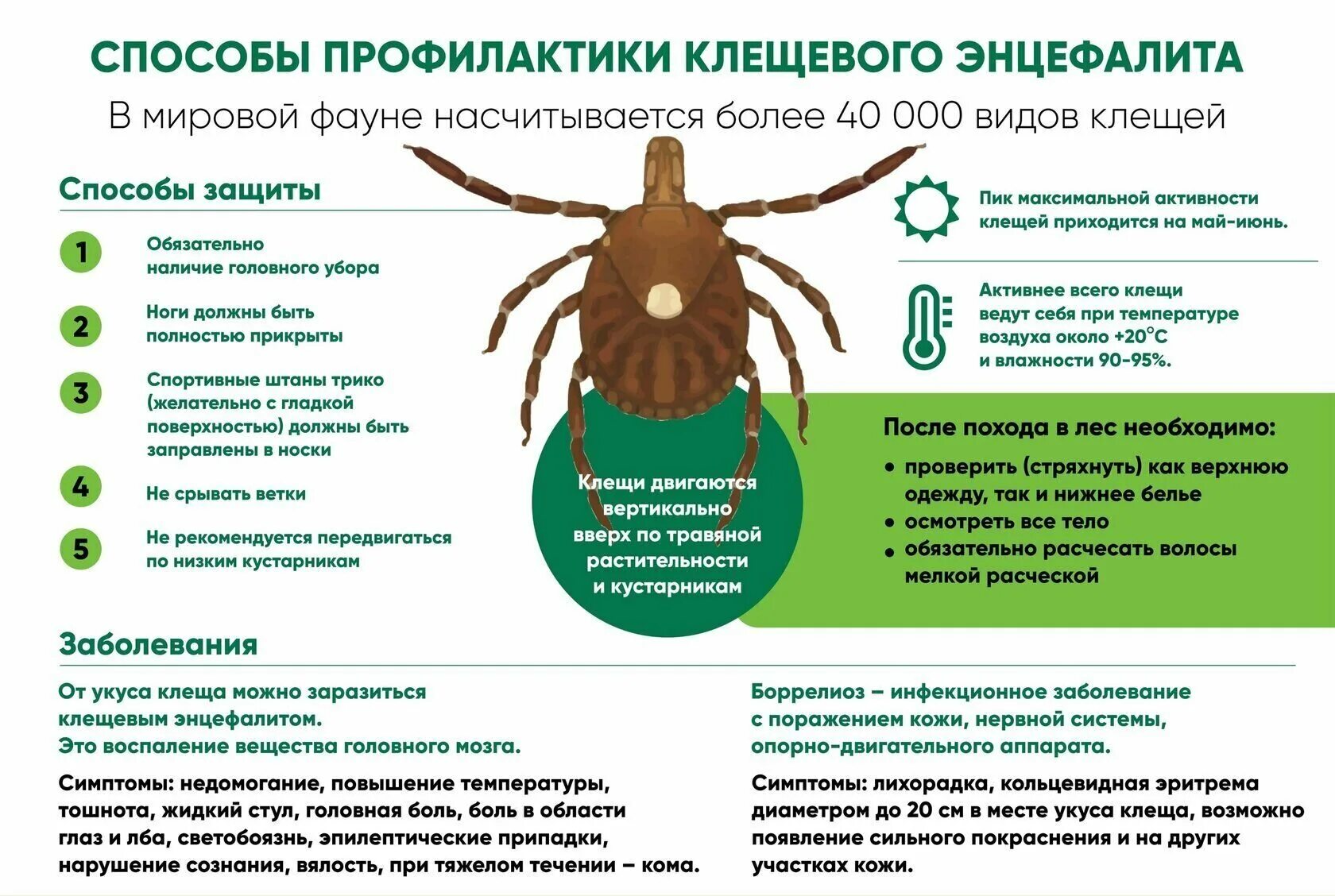 Переносчиком энцефалита является. Способы профилактики клещевого энцефалита. меры профилактики при клещевом энцефалите. клещевой вирусный энцефалит. экстренная профилактика клещевого энцефалита.