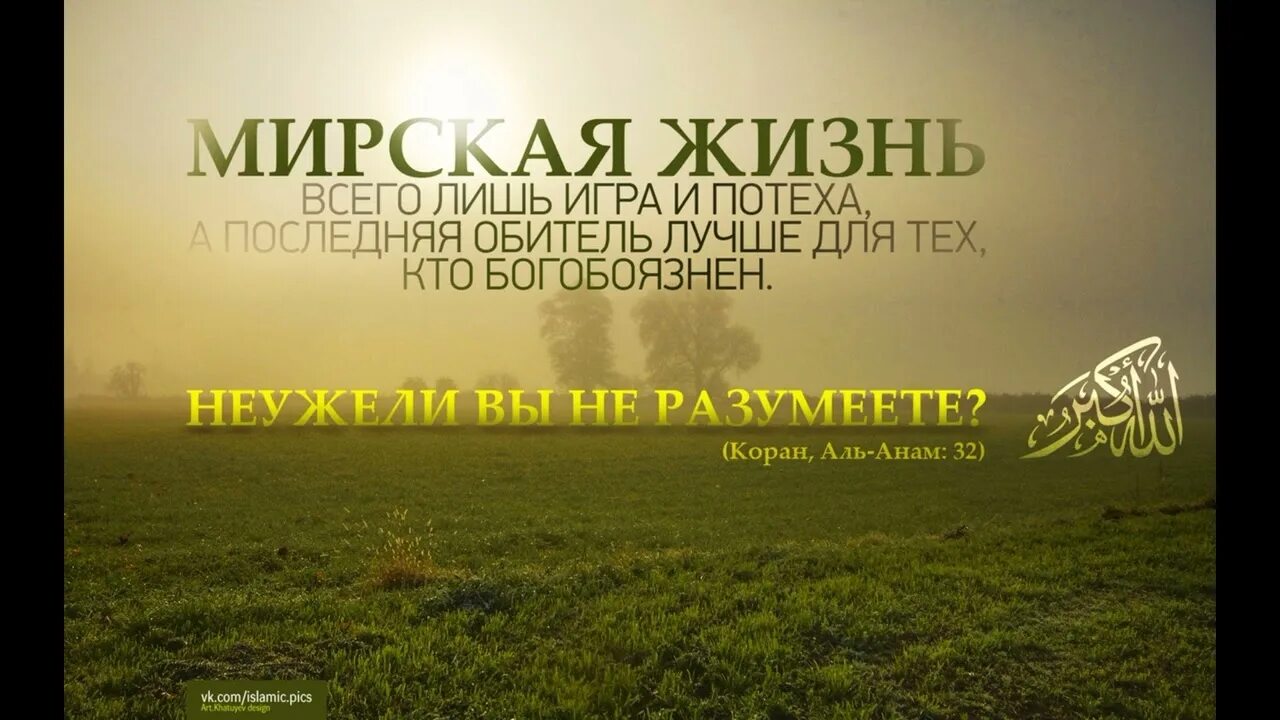 Хадисы про суры. Мирская жизнь в Исламе. Цитаты из Корана. Изречения из Корана. Цитаты из Корана о жизни в картинках.