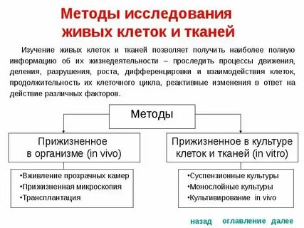 Таблица изучения клетки биология