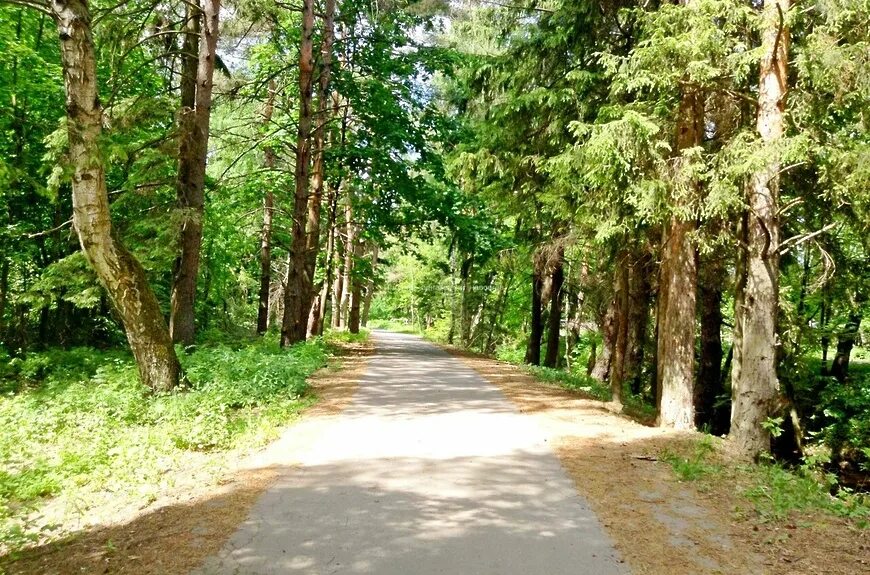 Учинский лесопарк. Кучинский лесопарк балашиха. Звягино (московская область). Учинский лесопарк. Учинский лесопарк.