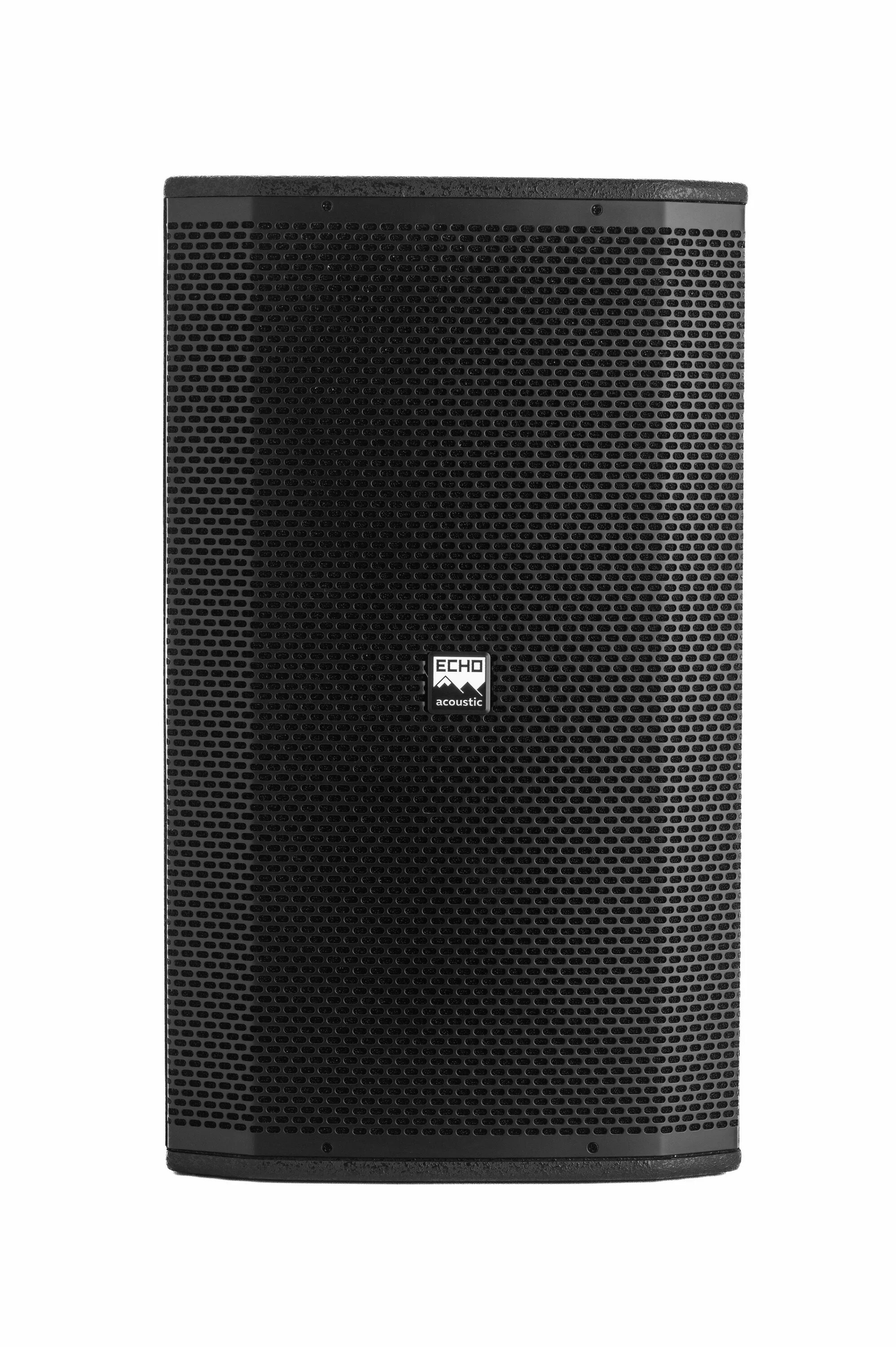 Echo system. Echo Acoustic ea115p. 12 System 12 Gordon.