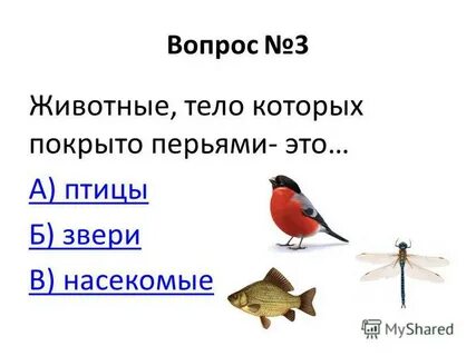 Тест животный мир 8 класс