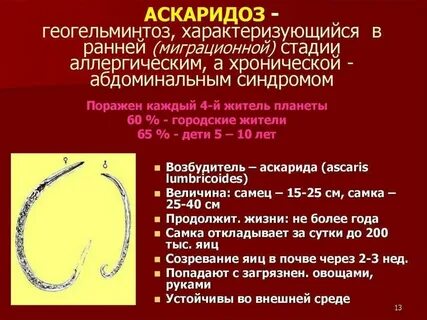 Санпин аскаридоз