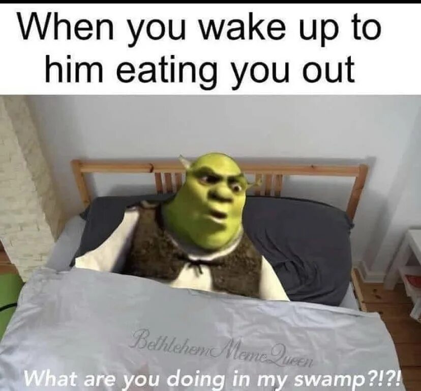 When i wake up it rain. What are you doing in my swamp. what are you doing in my swamp mp3. wake up wake up wake up meme. i wake up there is another psyop.