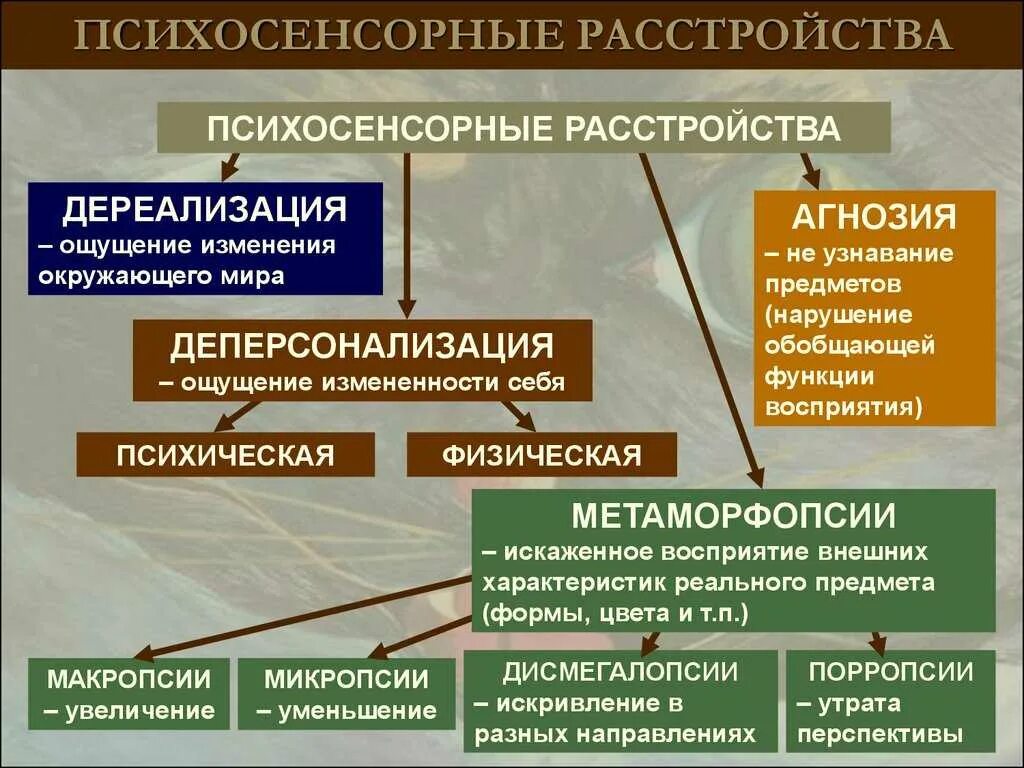 Психосенсорные расстройства. Психосенсорные расстройства классификация. Классификация нарушений восприятия. Классификация нарушений ощущений. Дереализации как лечить