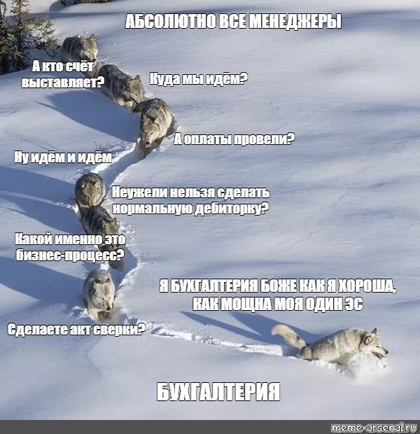 Когда можно будет собираться