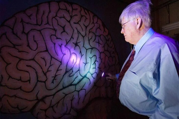 Ученые изучавшие мозг человека. Изучение мозга профессор. Исследование мозга. Ученые будущего. Мозг ученого.