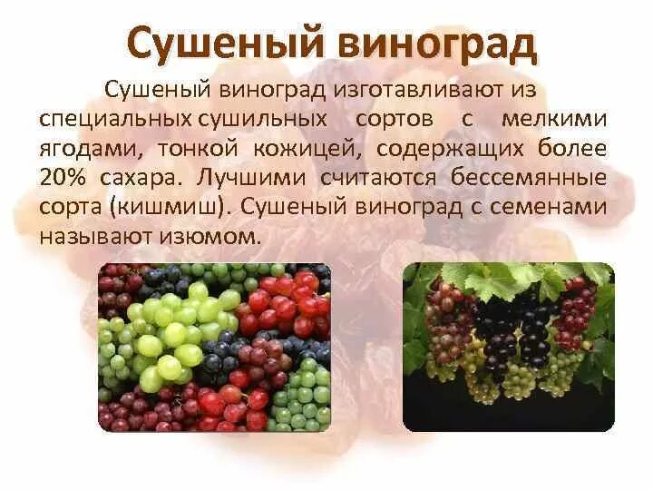Виноград содержит 80 а изюм 8. Сухой виноград. сушеный виноград. сушильные сорта винограда. характеристика сортов винограда.