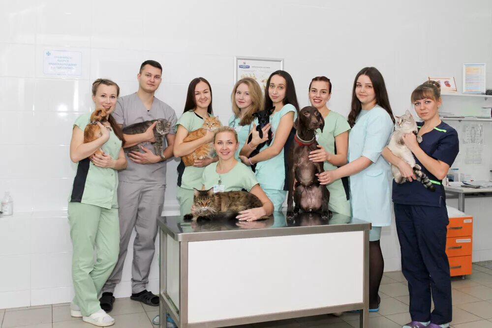 Фото: Ветеринарная клиника - Девять жизней, ветеринарная клиника, Осиповичская у
