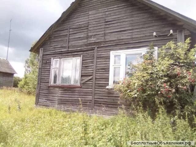 Квартиры в чуприяновке тверская. Чуприяновка тверская область. чуприяновка деревня.