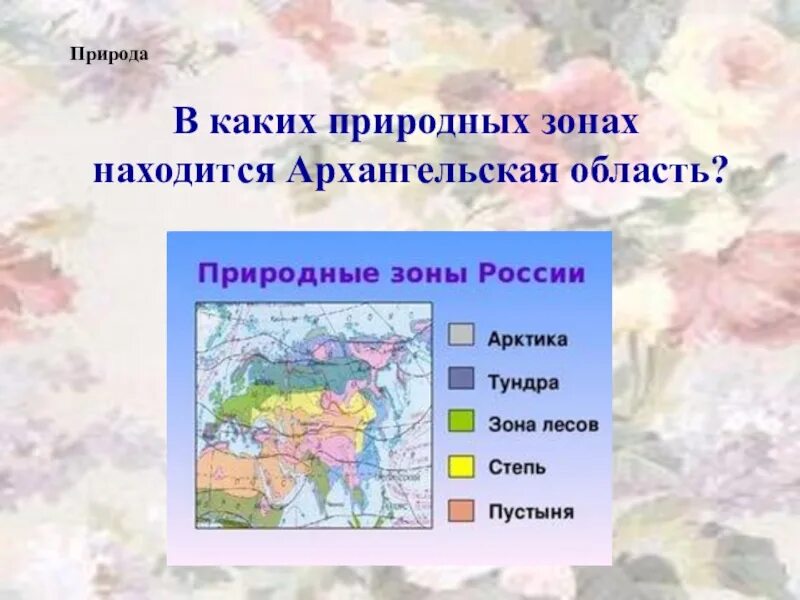 Какая природная зона в архангельской области