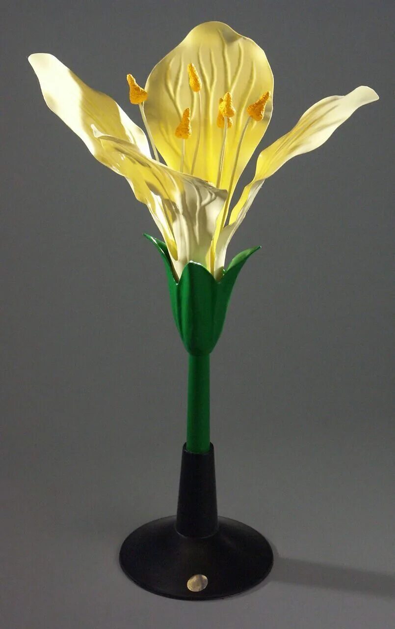 Модель цветка по биологии. Макет цветка по биологии. Как сделать модель цветов. Как сделать модель цветов. Модель цветка.