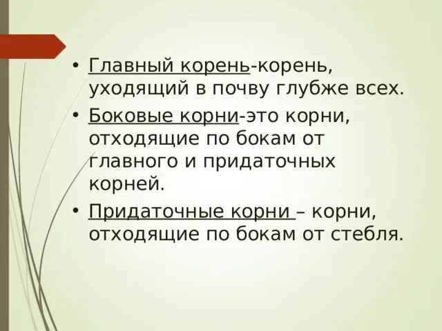 Корневая система пихты схема. Делась корень. Их корни уходят. Их корни уходят. Корневая система деревьев.
