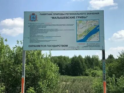 Памятник природы в городе