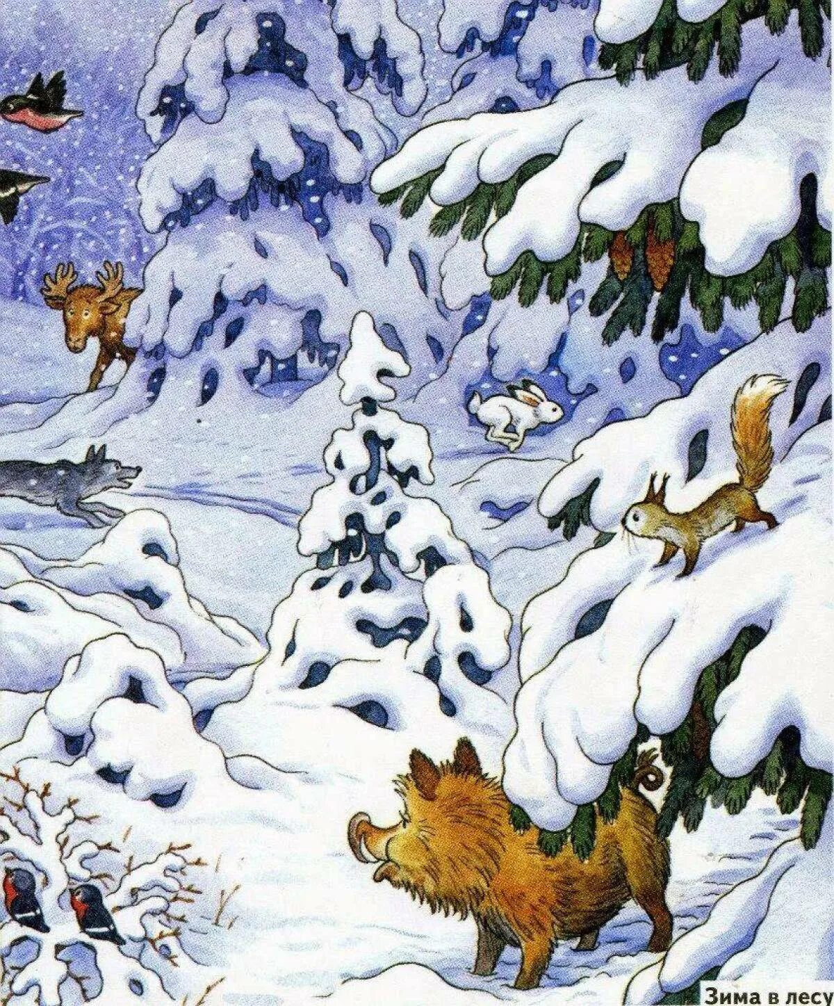 Знакомые следы ПЕРМЯК. Сказочный зимний лес для детей. Зима иллюстрация. Зимние картинки для детей. Где прячется зима