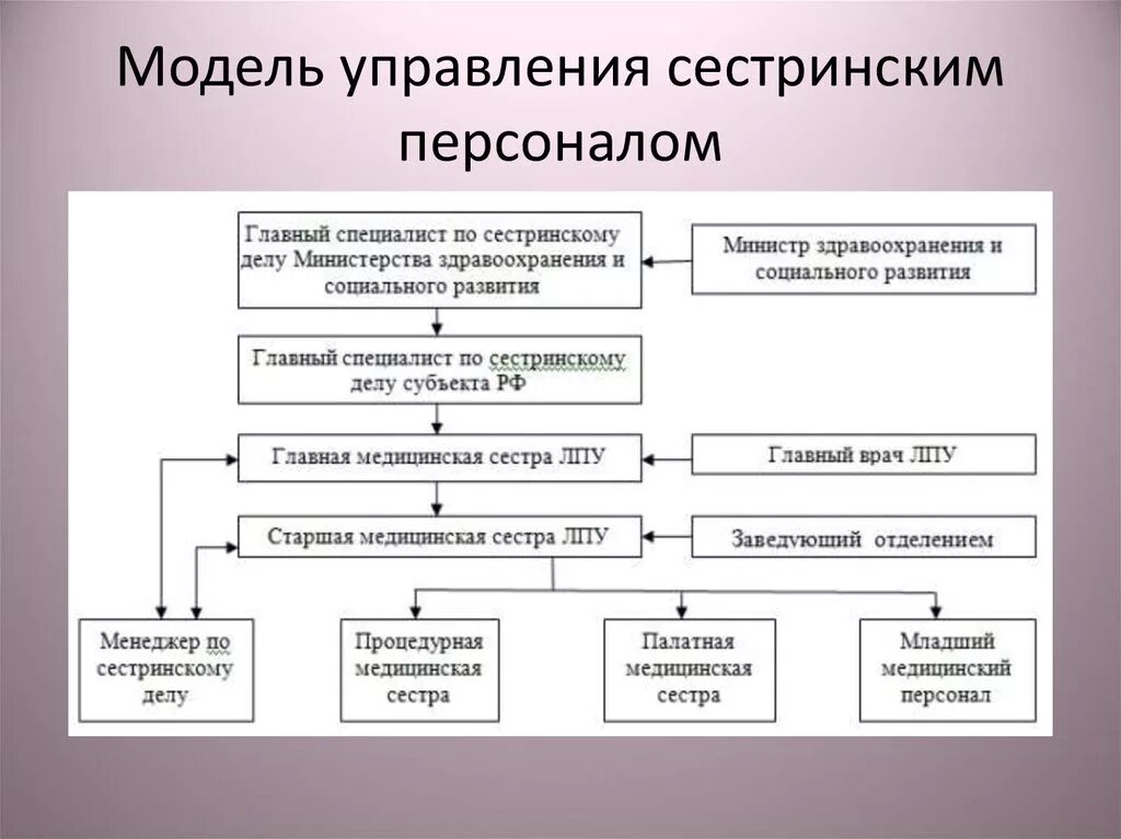 Организация работы главной медицинской. Структура управления сестринским персоналом. Модель управления сестринским персоналом. Структура сестринского персонала в ЛПУ. Структура здравоохранения в России Сестринское дело.