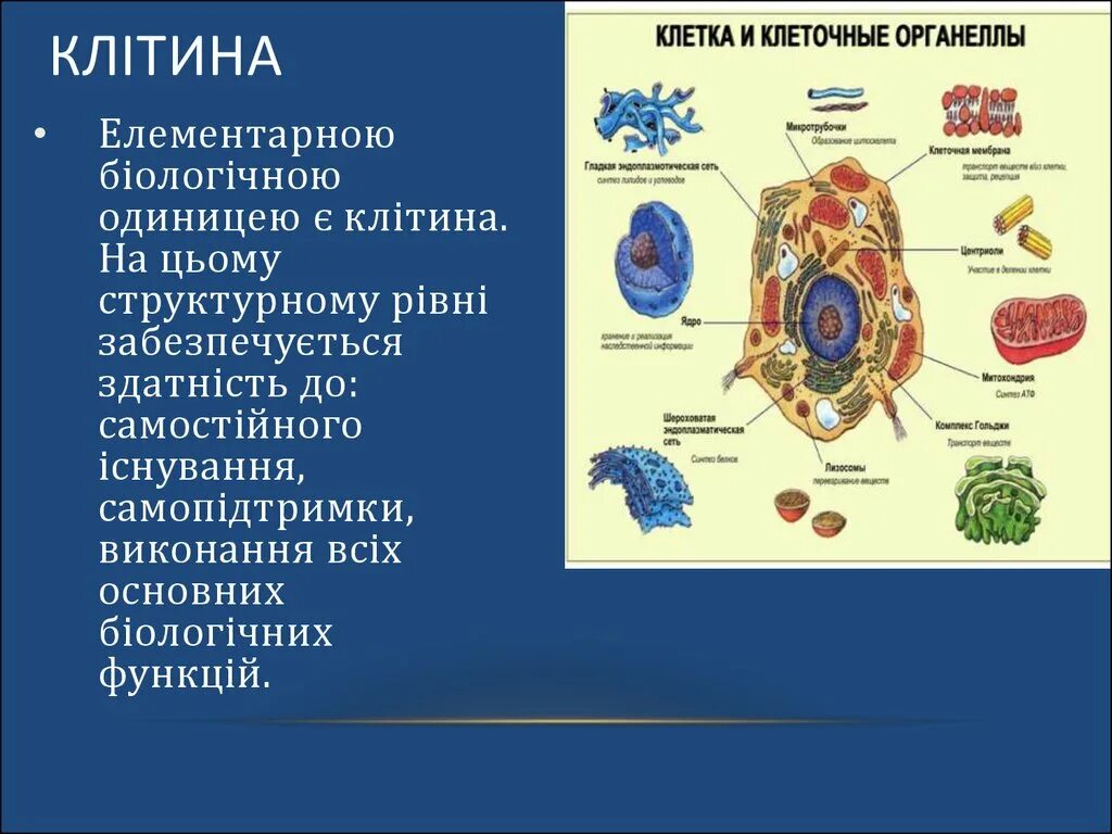 Биологическая клетка является