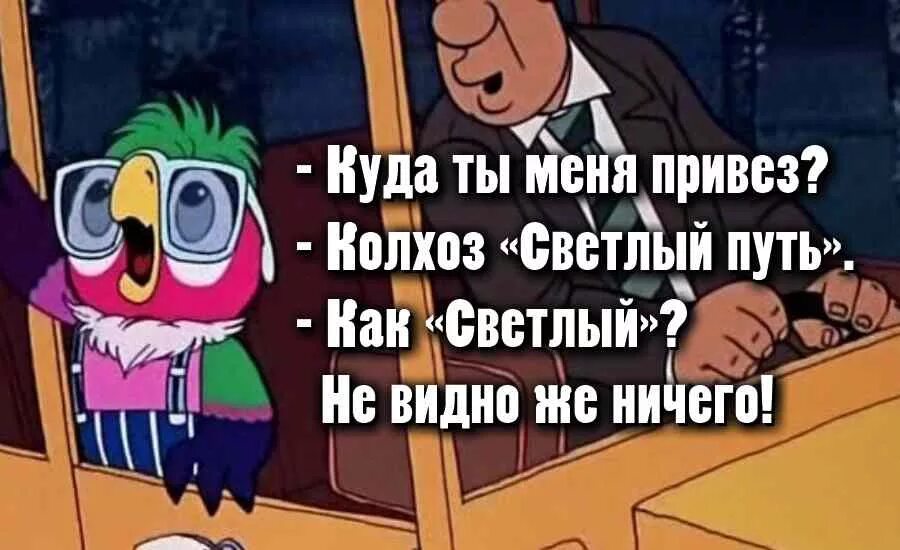 Ы эх. Попугай Кеша. Попугай Кеша цитаты. Попугай Кеша приколы. Фразы из мультфильмов.