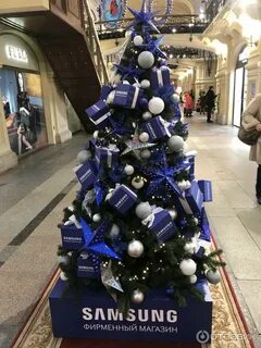 Сити ели