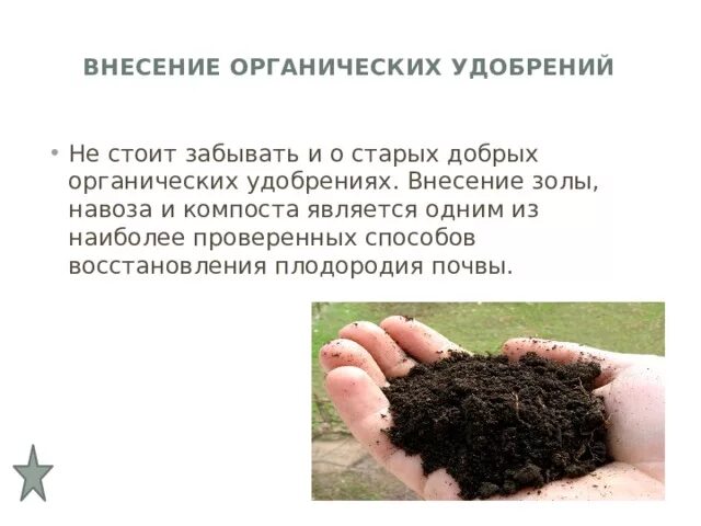 Примеры органических удобрений. Органические удобрения для почвы. Внесение в почву органических и Минеральных удобрений. Удобрение органические удобрения. Органические удобрения презентация.