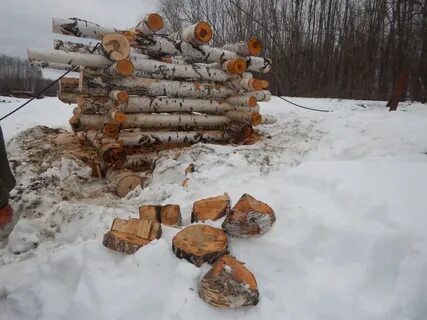 Срубили березу падеж