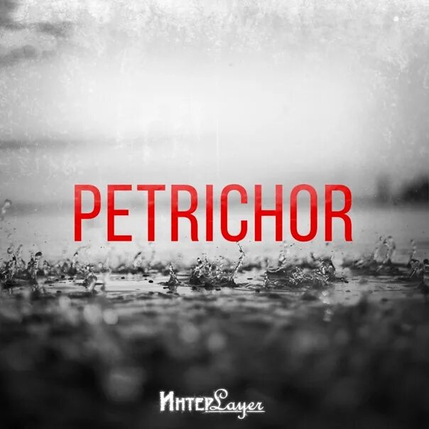 Петрикор 5. Ливень в лесу. Петрикор запах после дождя. Петрикор. Цитаты про петрикор.