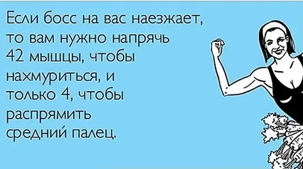 5 января праздник разгрузочный день. 5 января разгрузочный день. 05 января международный разгрузочный день. международный разгрузочный день открытки. открытки 5 января разгрузочный день.