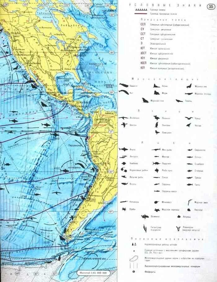 Атлас 7 класс география карта тихий океан. Атлантический океан атлас 7 класс. Тихий океан атлас 7 класс. Атлас тихий океан по географии 7. Тихий океан условные знаки на карте