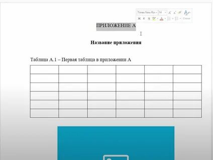 Продолжение приложения 1