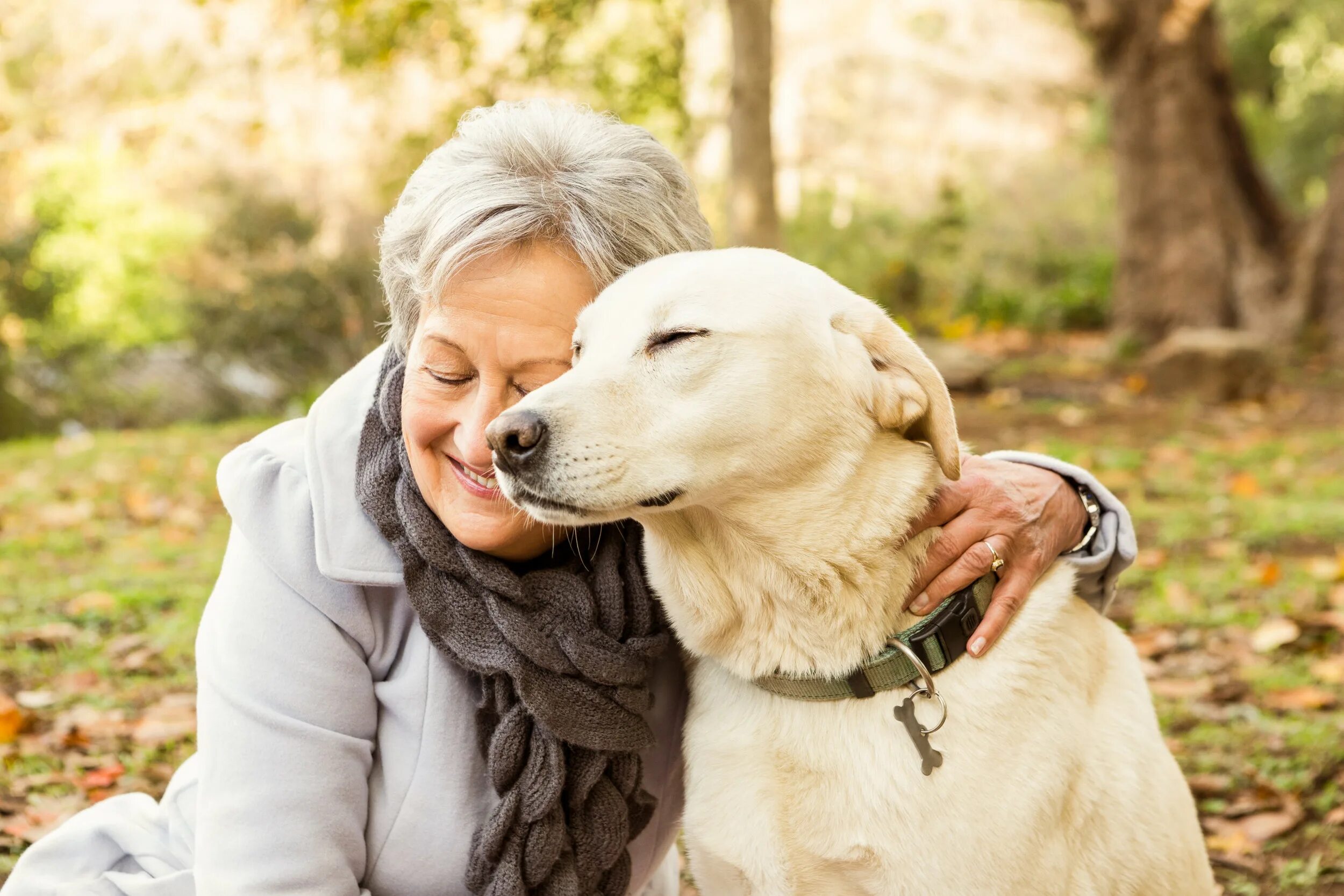 Dog have woman. Человек с собакой. Люди и животные. Хозяин собаки. Пожилая женщина с собакой.