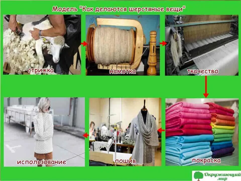 Шерсть превращается в свитер отрасль экономики. Производственные цепочки. Модель производственной цепочки шерстяных вещей. Цепочка производства шерстяных вещей. Происхождение шерсти.