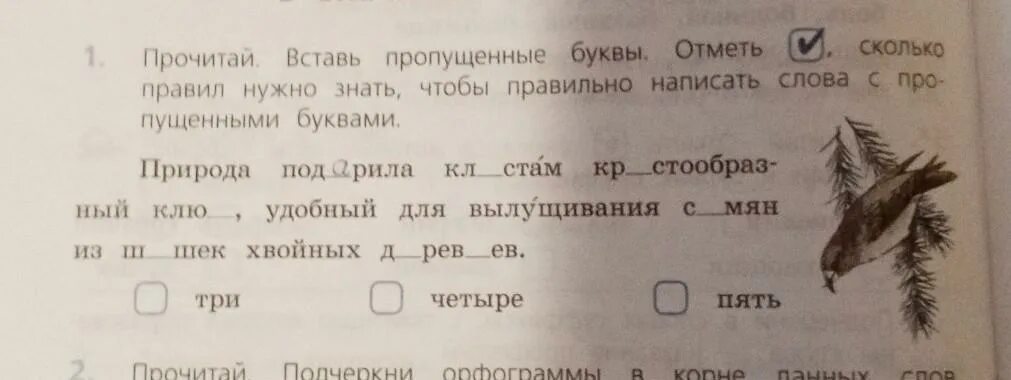 Выставьте пропущенное слово. Прочитай вставь пропущенные буквы. Прочитай выставь пропущенные. Вставь пропущенные буквы и прочитай слова. Вставь пропущенные буквы и прочти.