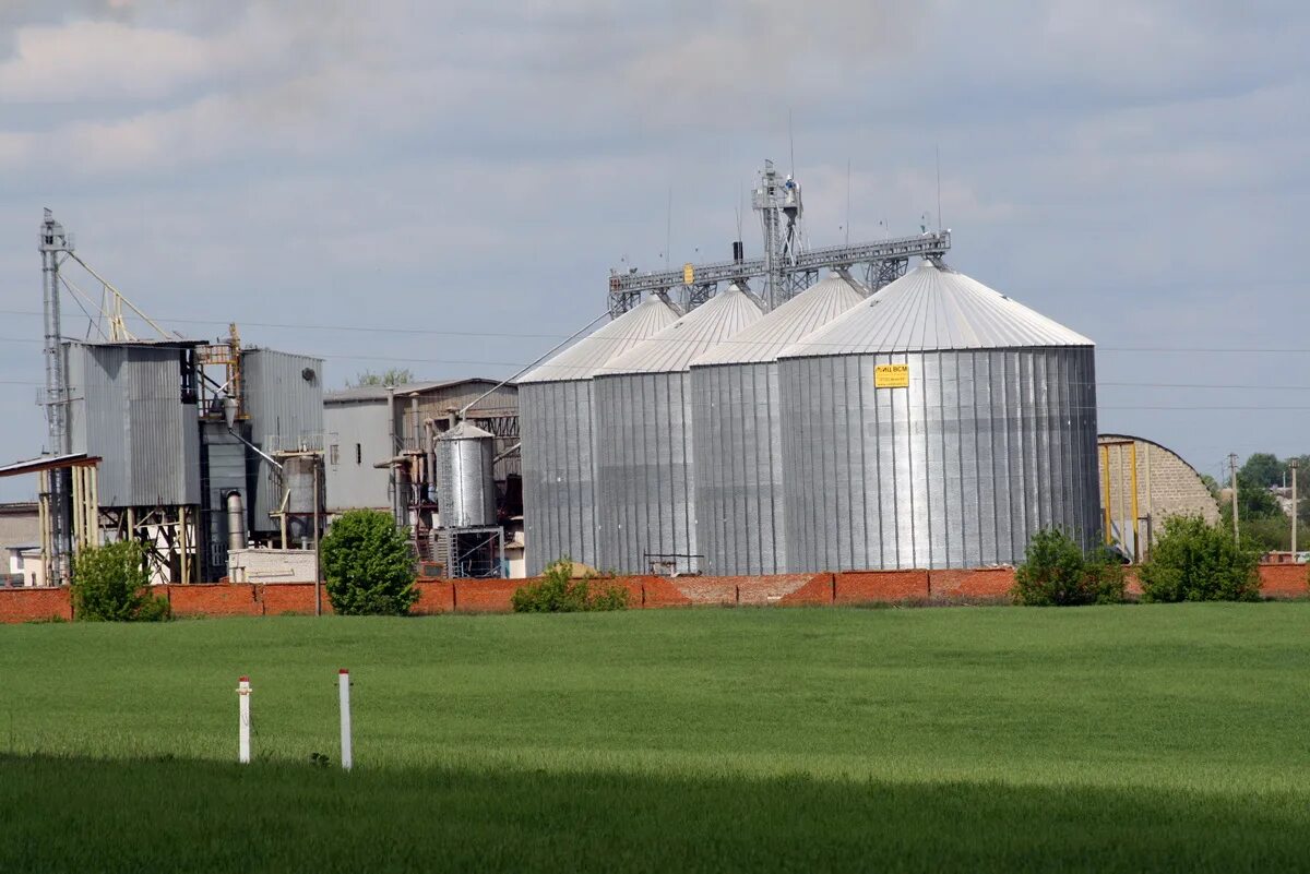 Чекмагушевский молочный завод. Комбикормовый завод алексеевка белгородская область. Завод п т. Волховский завод строительных материалов волхов. Завод п т.