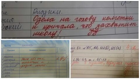 Какое домашнее задание задали