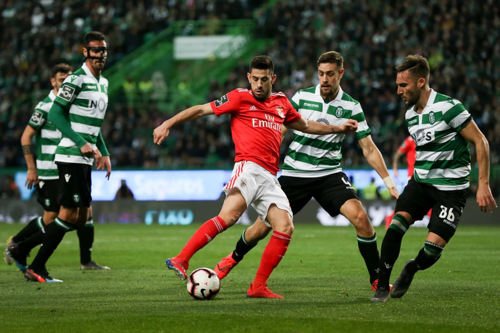 Спортинг лиссабон прогноз на сегодня. Спортинг Брага Бенфика. Sporting Lisbon Benfica. Sporting enrabar Benfica. Спортинг - Бенфика ю19 видео.