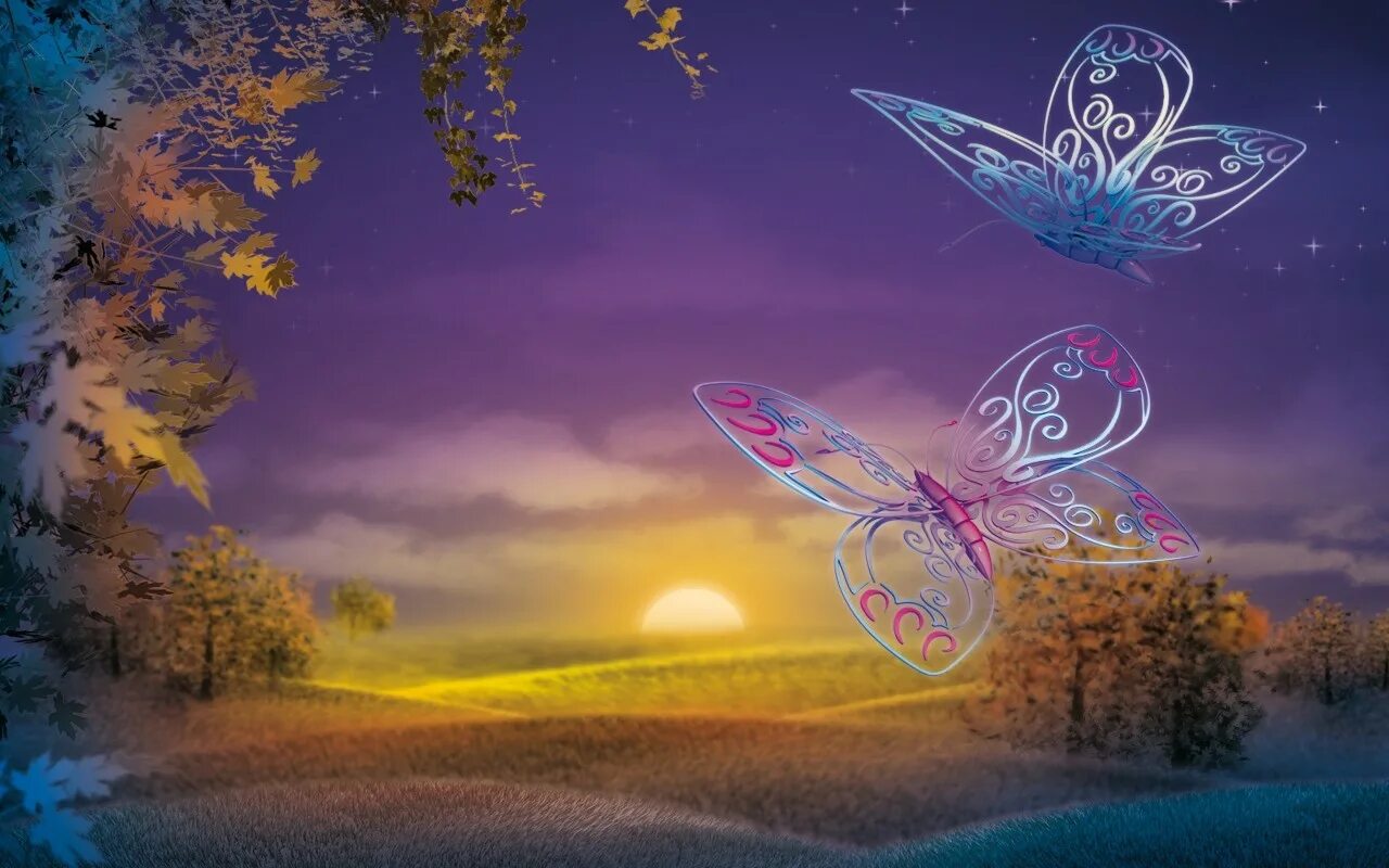 Волшебные бабочки. Магические бабочки. Волшебство бабочки. Пейзаж с бабочками. Спящие ночью бабочки