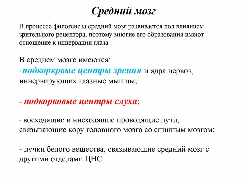 Филогенез мозга. Филогенез среднего мозга. Средний мозг развивается в процессе филогенеза под преимущественным. В процессе филогенеза средний мозг развивается под анализаторам.