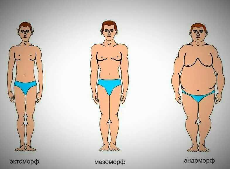 Мужчина вес 60 кг. Телосложение 90 кг. Эктоморф мезоморф. Телосложение и вес мужчины. Телосложение человека весом 90кг.
