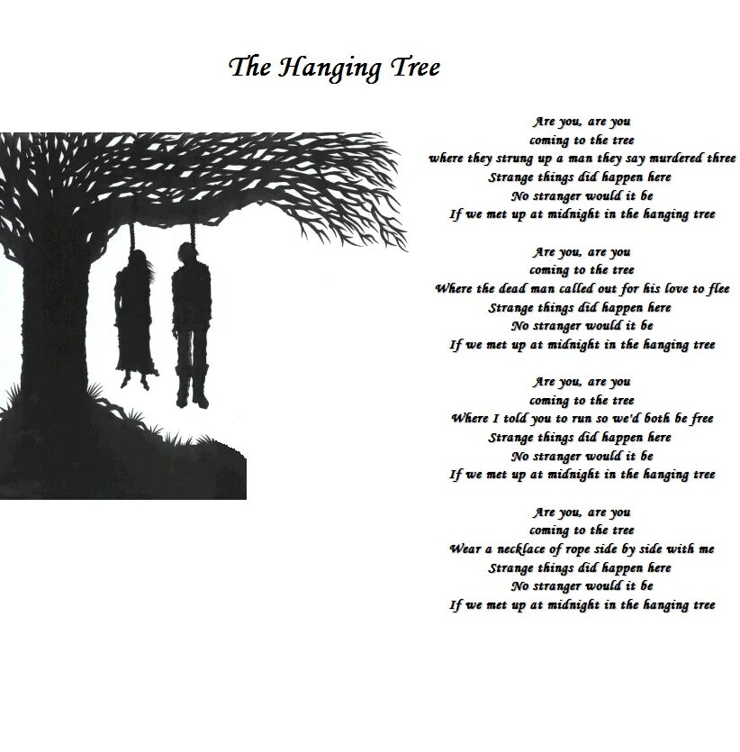 Where the trees meet. Where the trees meet